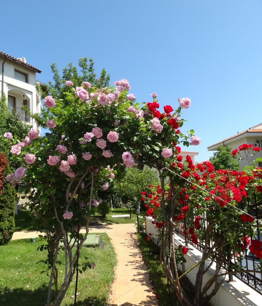 Triumph Holiday Village Sveti Vlas Exterior photo